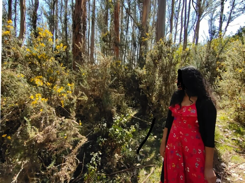 Offline XXX chat Phoenix_Lux