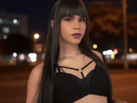 Модель Nova-evs