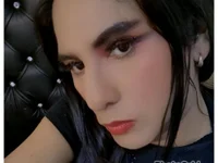 Модель janestones