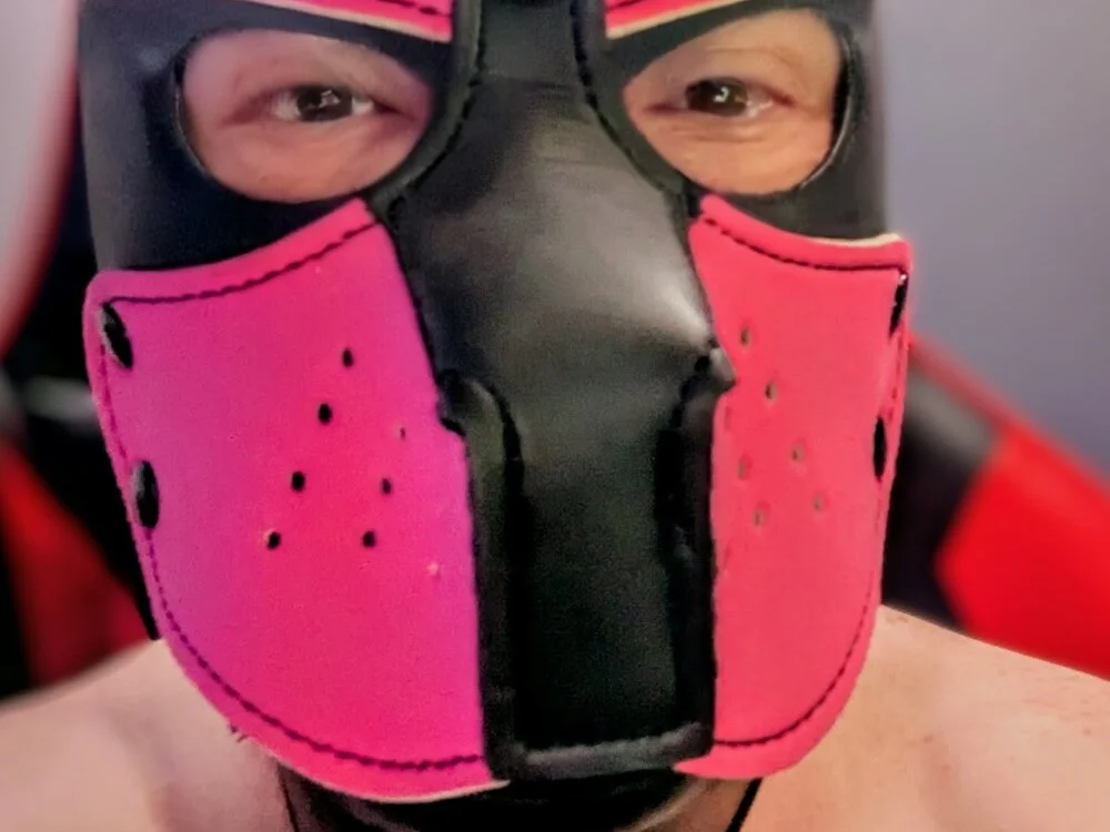 servedcock Chat XXX offline