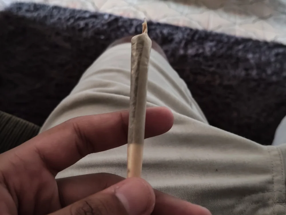 jorgedias00 오프라인 XXX 채팅