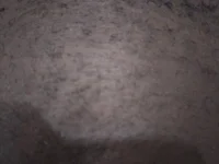 Модель Piazza21