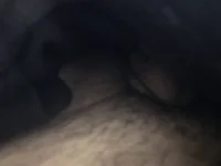 Модель Wolfy297