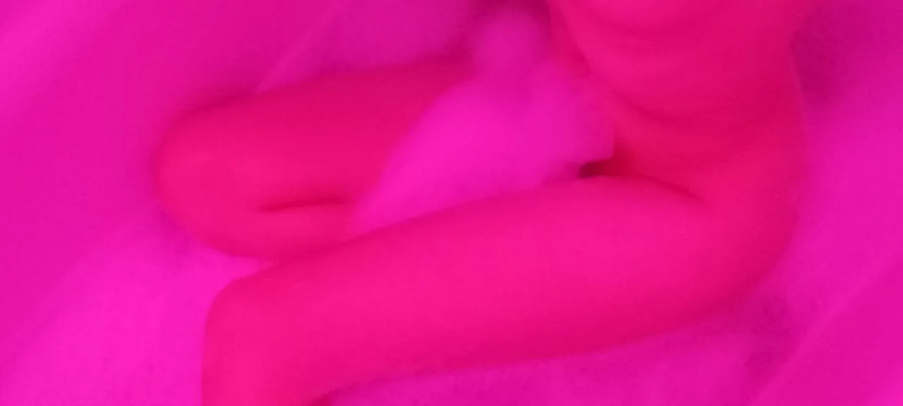 Seragima78 cover photo