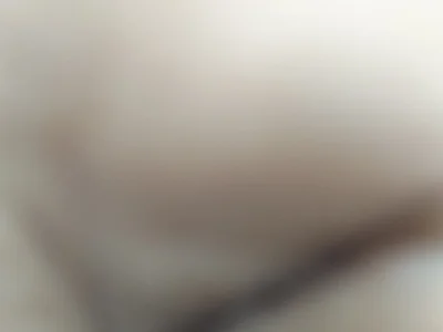 Tamilbbull27 profile