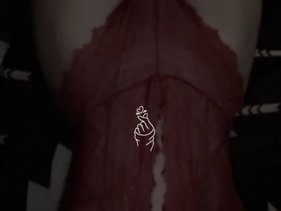 lilsa-vi