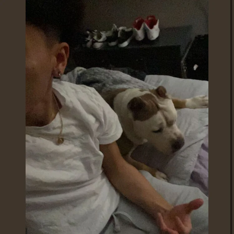 GIRTHYGreggg offline chatrum