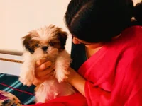 Chatroom XXX en direct de TheShyGirl_