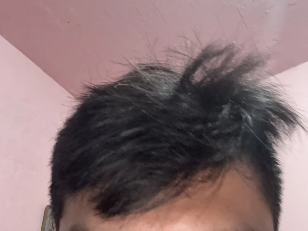 LuisSafari@xh 離線 XXX 聊天