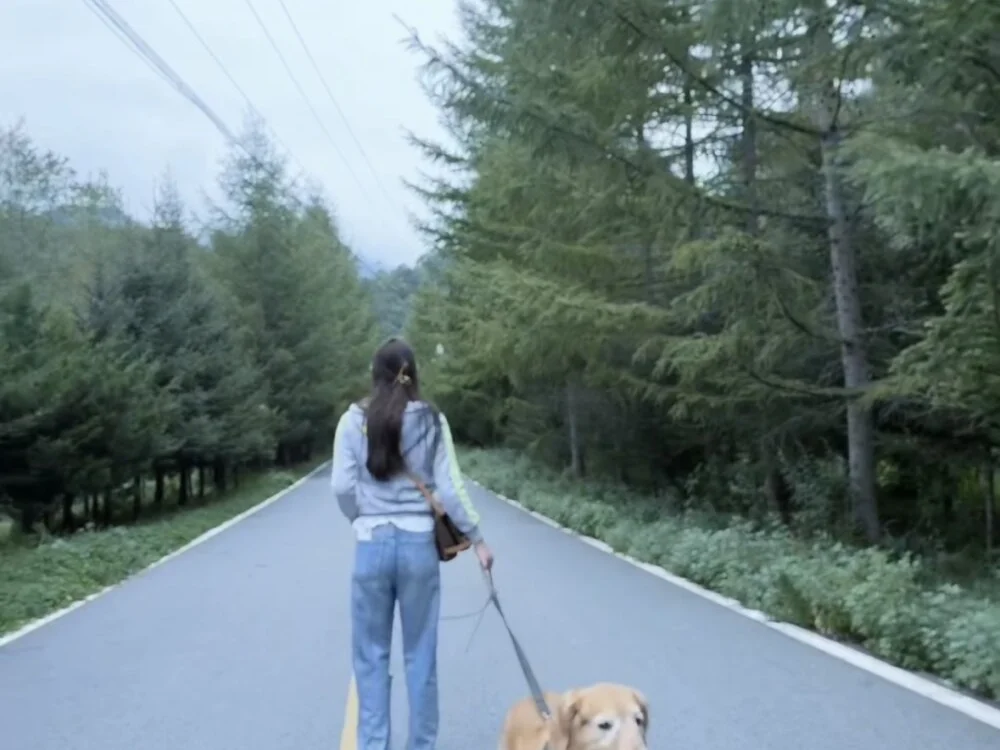 แชท XXX ออฟไลน์ของ Potatosi