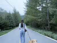 Модель Potatosi