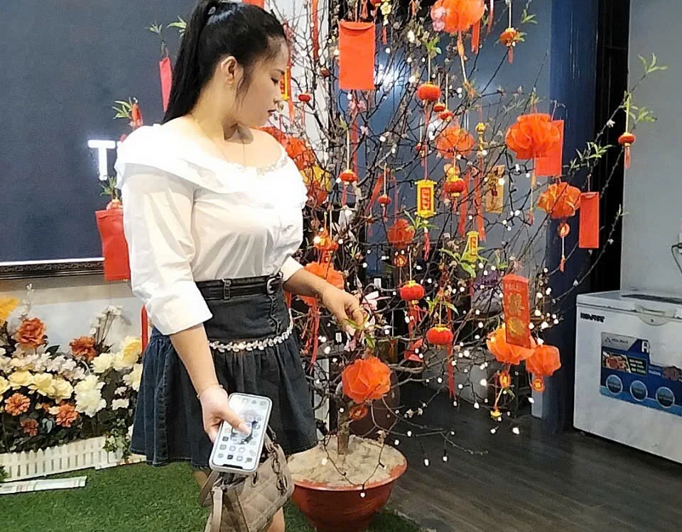 Offline XXX chat Tulip_ii