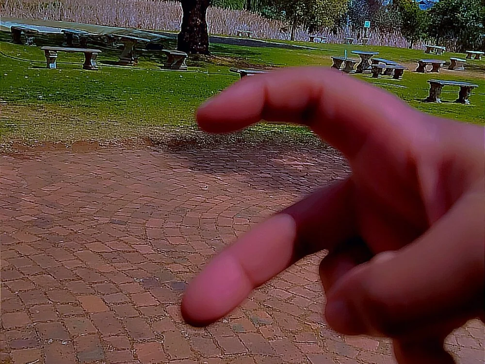 ProFemme's Offline XXX Chat