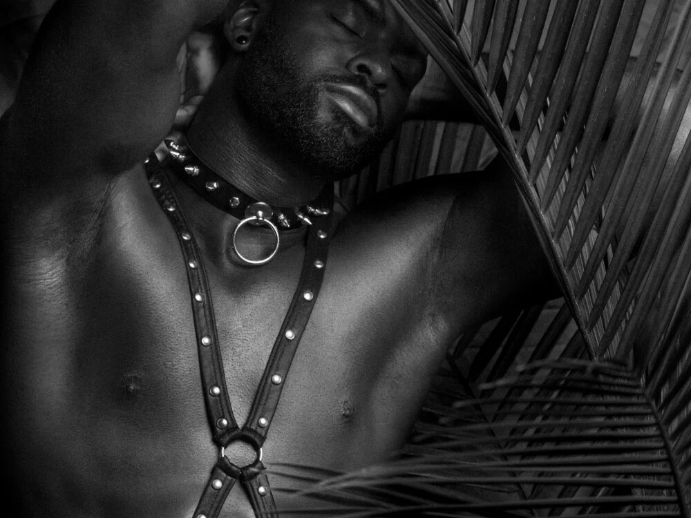 Rajko_3n Offline XXX chat