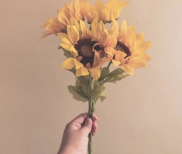 Cisco2946 Adlı Modelin Çevrimdışı XXX Sohbeti