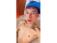 Модель TaylorSnow