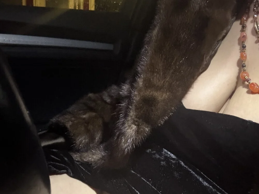 notyourtypicalAnna Offline XXX-chat