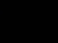 Модель Traistan12