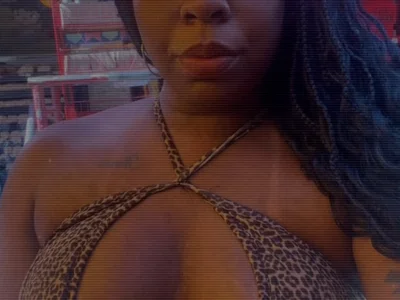 Priihmedeiros profile