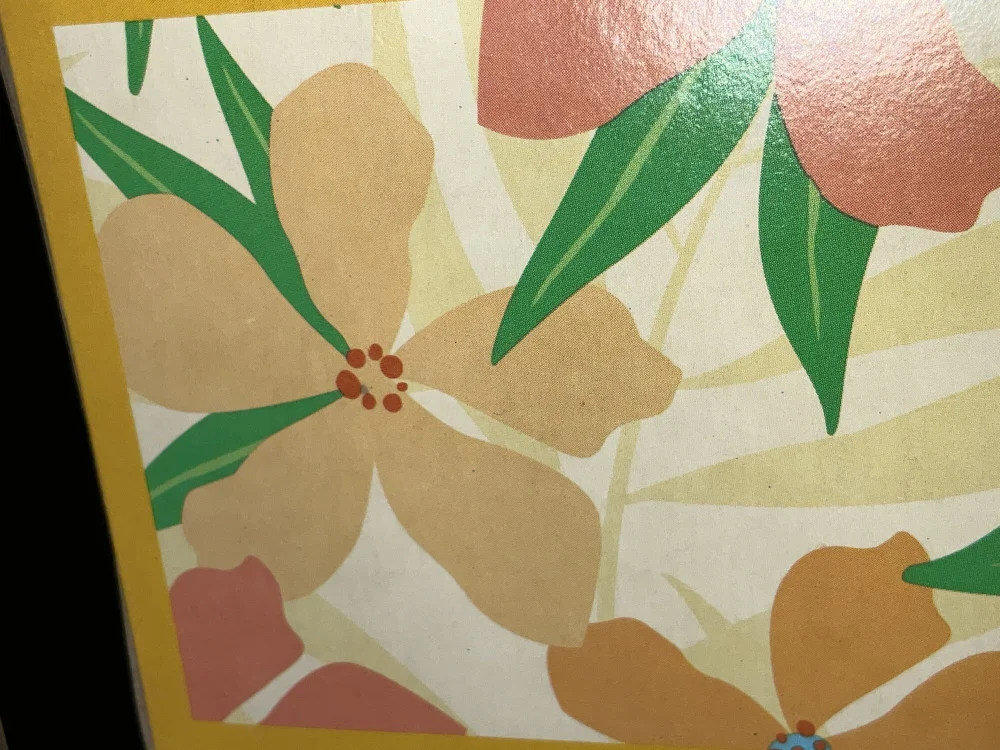 cover photo of Causeimnaughty