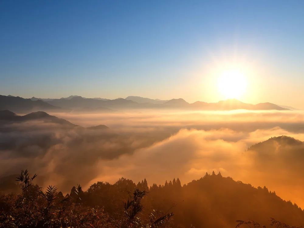 Lethabq's most recent online preview