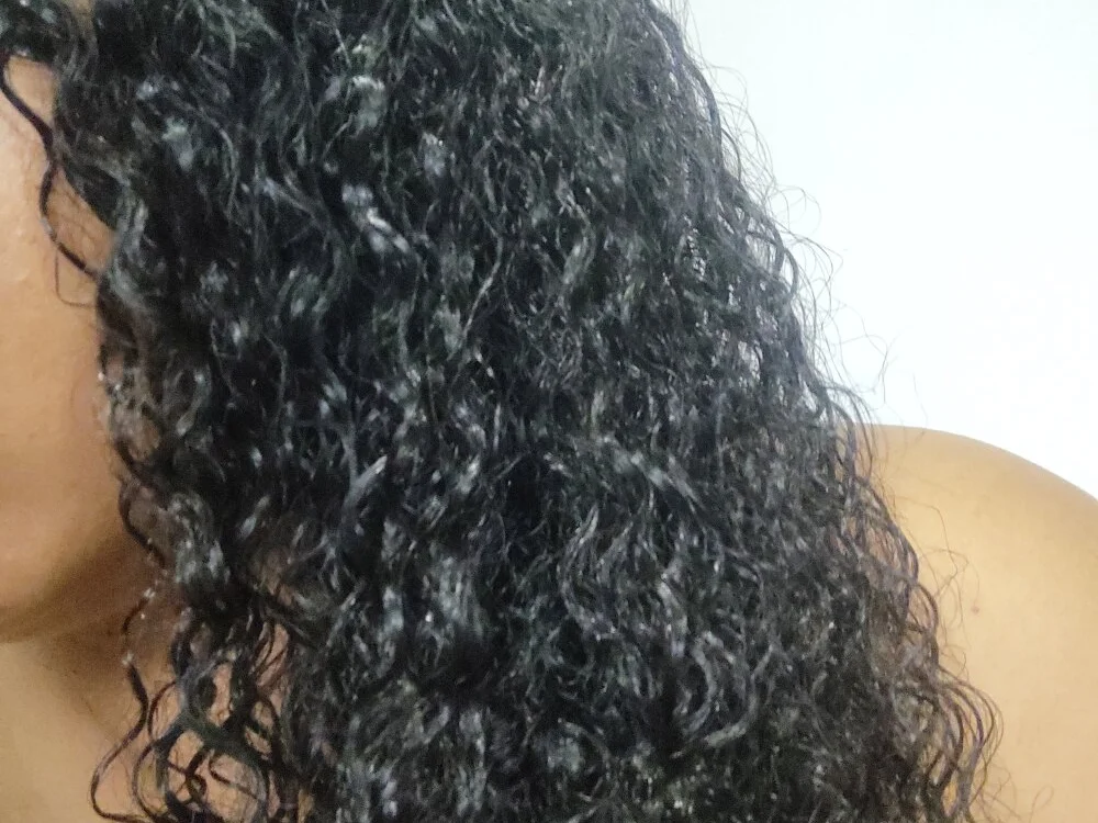 Rafaschuler অফলাইন XXX চ্যাট