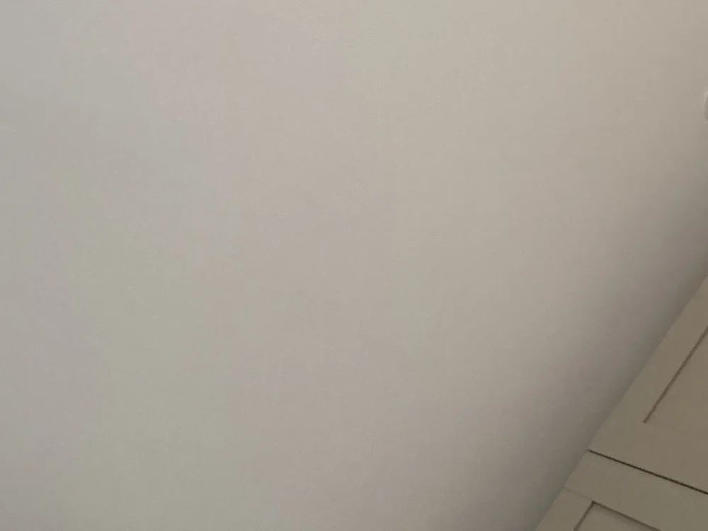 CockOnTheGo's Offline XXX Chat