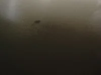 pau18cmn