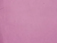 bkumari96