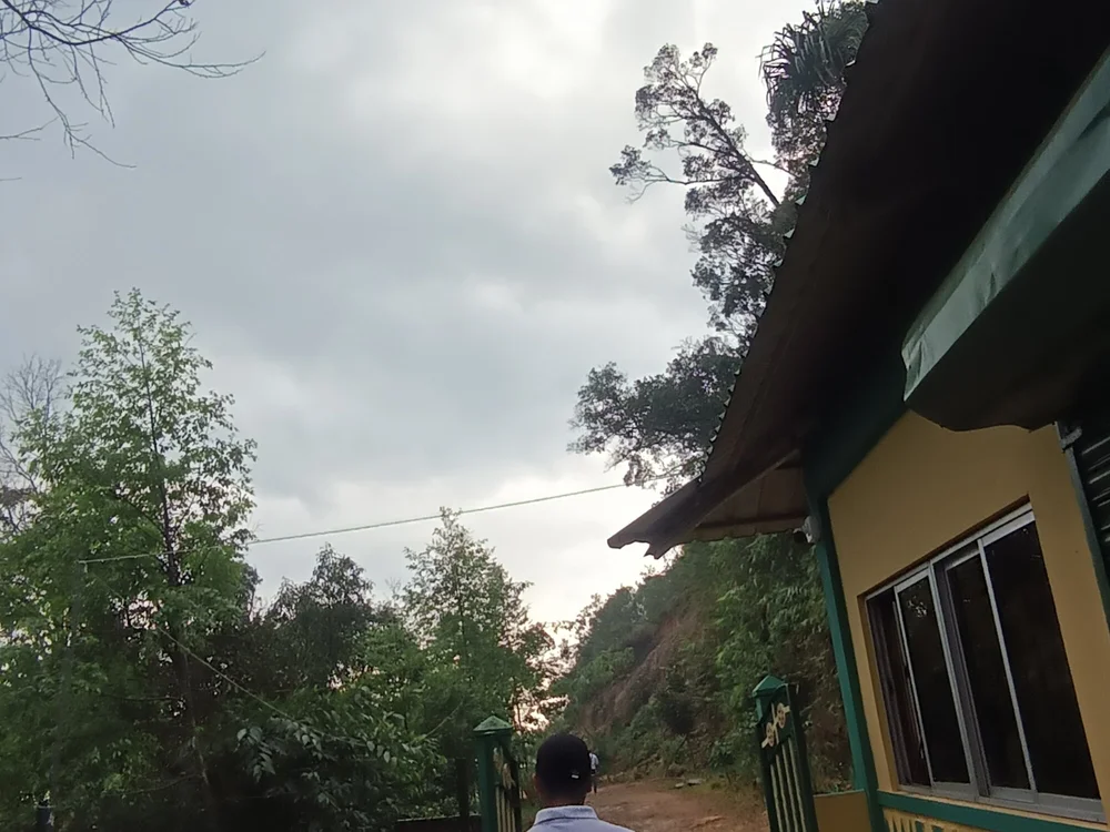sachalang2001 Chat XXX Ngoại tuyến