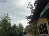 sachalang2001