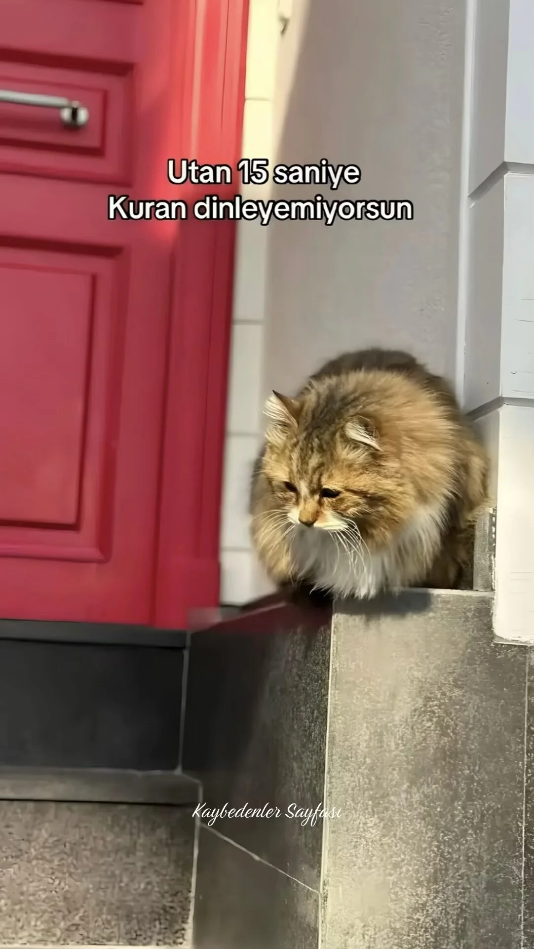ahmet789012