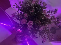 JaceyHu_00's Live XXX Chat