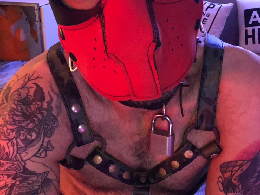 danix_wild_wolf 오프라인 XXX 채팅