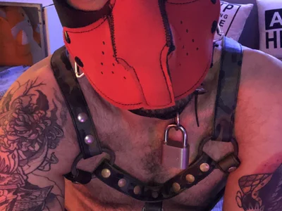 danix_wild_wolf profile preview