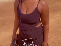 Модель EXLOVER2