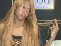 Модель Angell_Dustt_