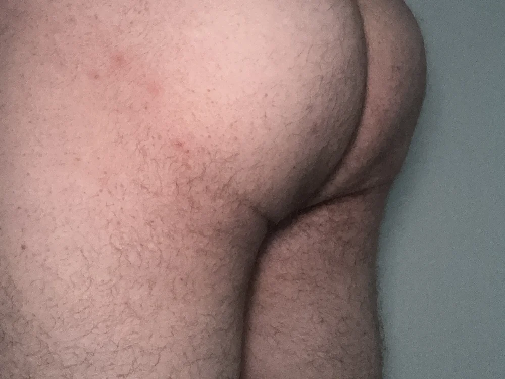 Geilaus_stu