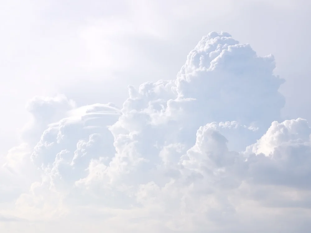 AnayCardona's Offline XXX Chat