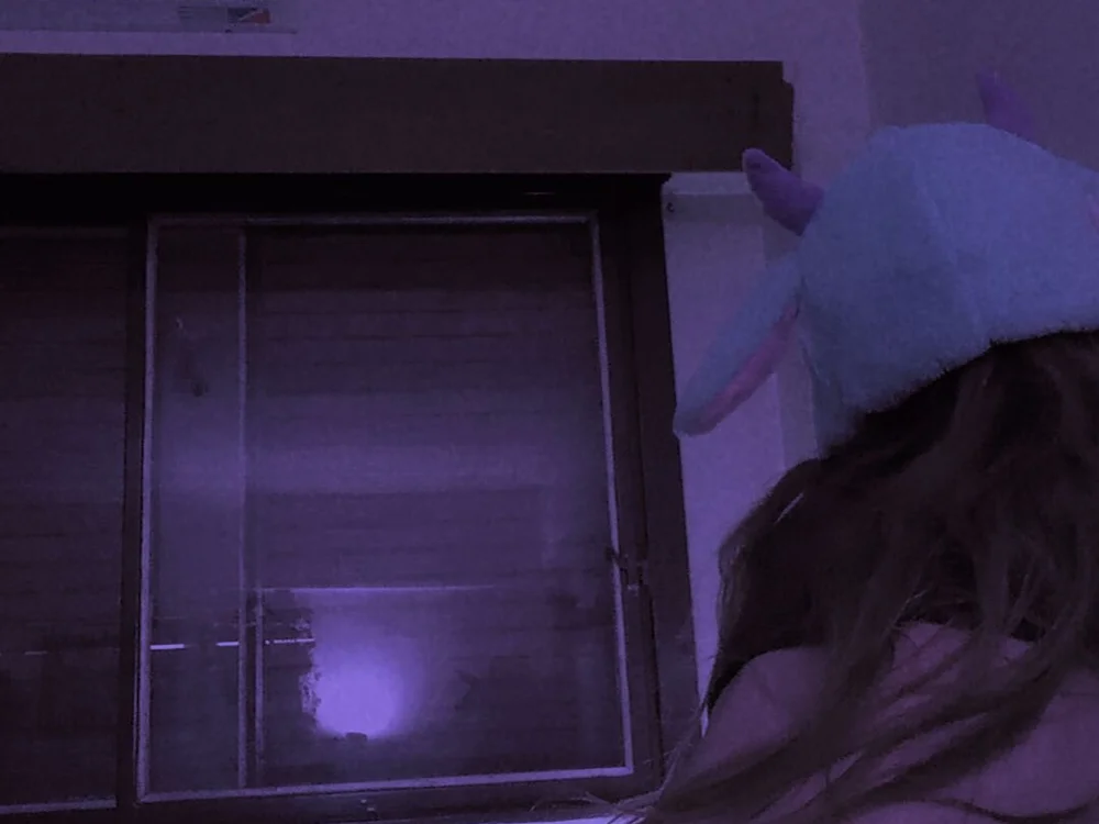 ห้องแชทออฟไลน์ของ VenusGummy