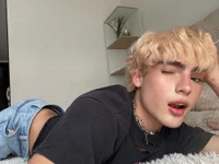 Модель KittySkirtt1