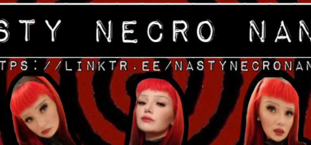 nastynecronancy offline chatrum