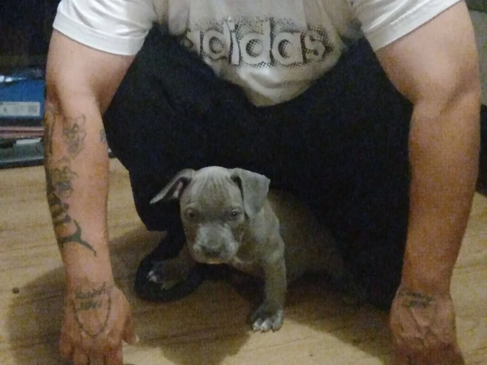 Nolove316's Offline XXX Chat