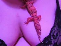 couple-3110's Offline XXX Chat