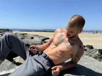 Модель Greyoff