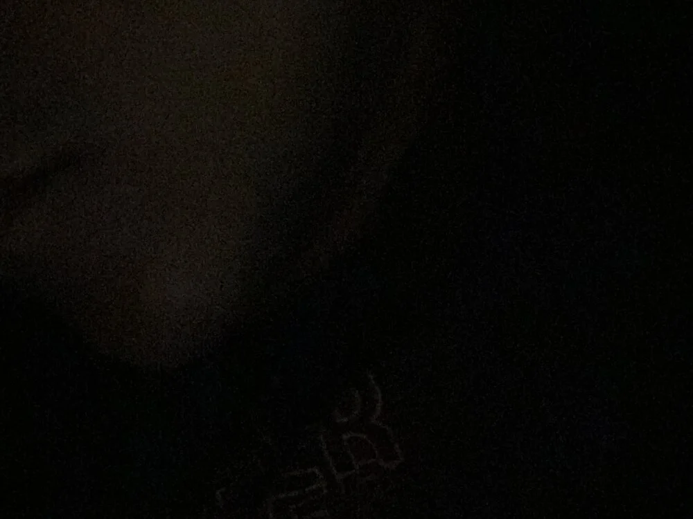 D4ivid Adlı Modelin Çevrimdışı XXX Sohbeti