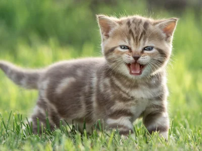 Bebemickey75 profile