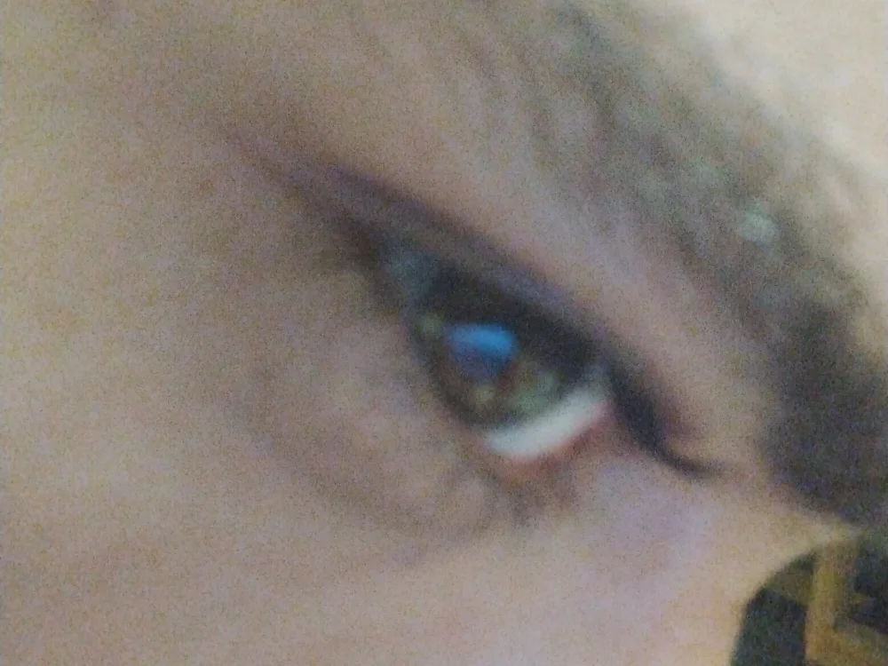 pedram95's Offline Chat Room