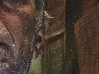 common47: απευθείας συνομιλία ΧΧΧ