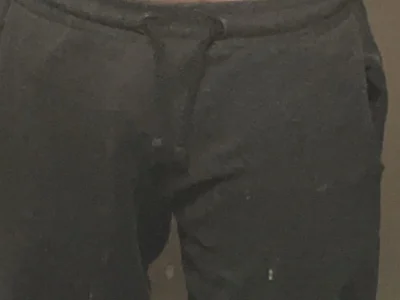 FavoriteTram profile